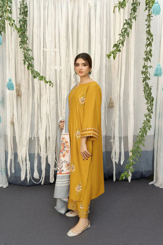 Dhanak 3Pc Embroidered-643